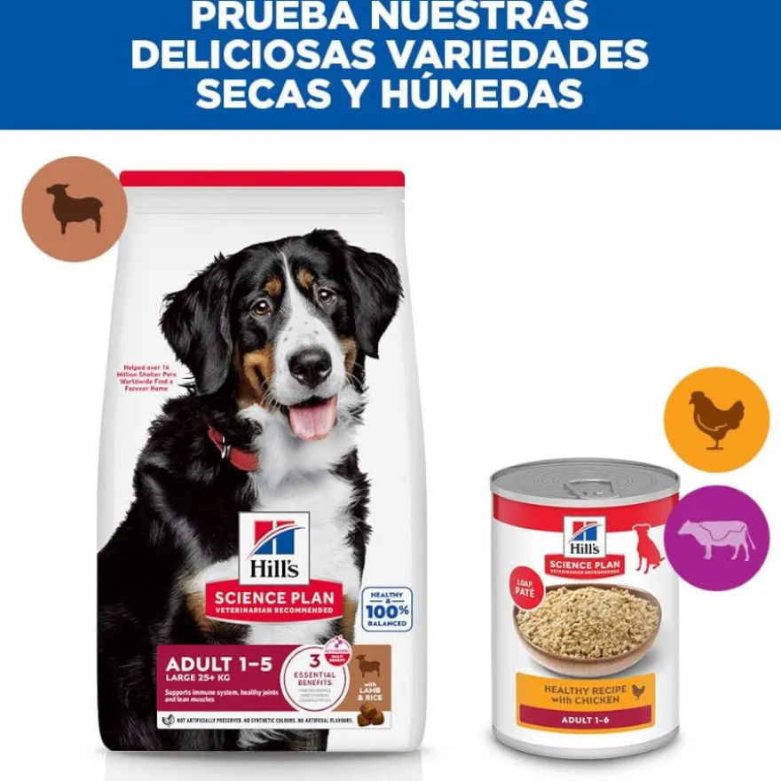 Hill's Science Plan Adult Large Breed Ração de cordeiro e arroz para cães de raças grandes