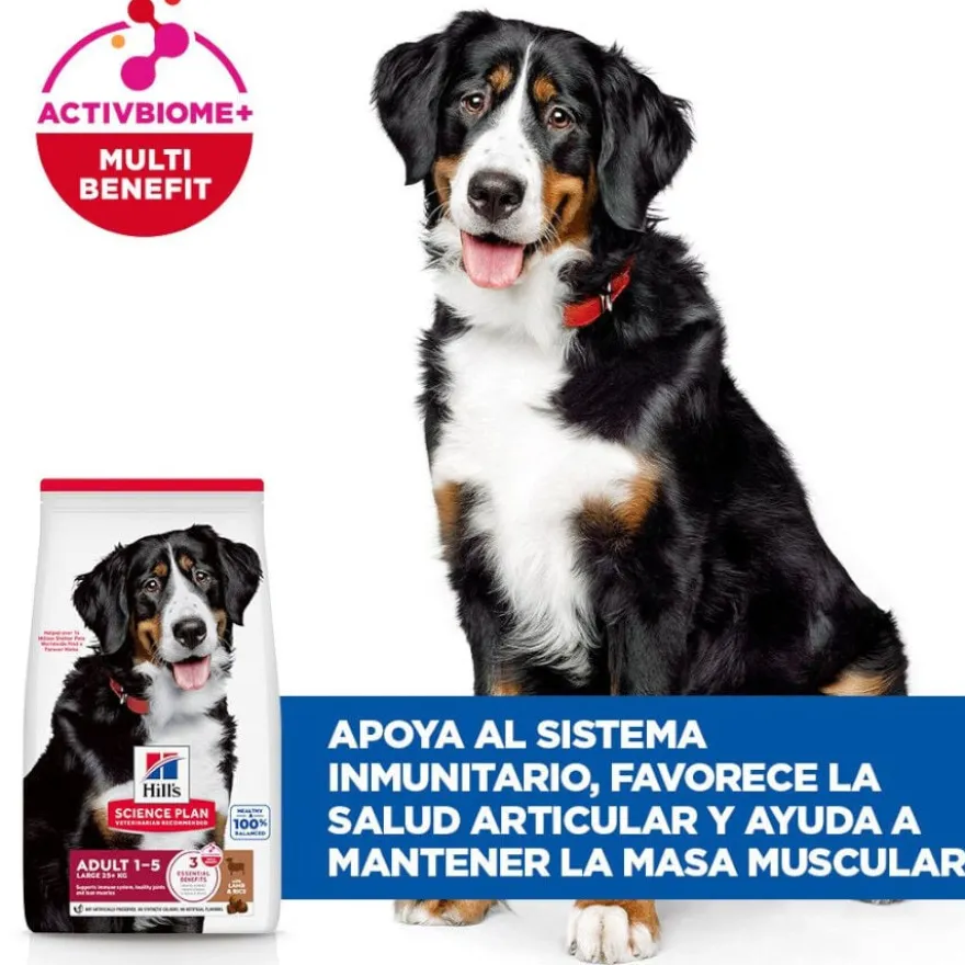 Hill's Science Plan Adult Large Breed Ração de cordeiro e arroz para cães de raças grandes