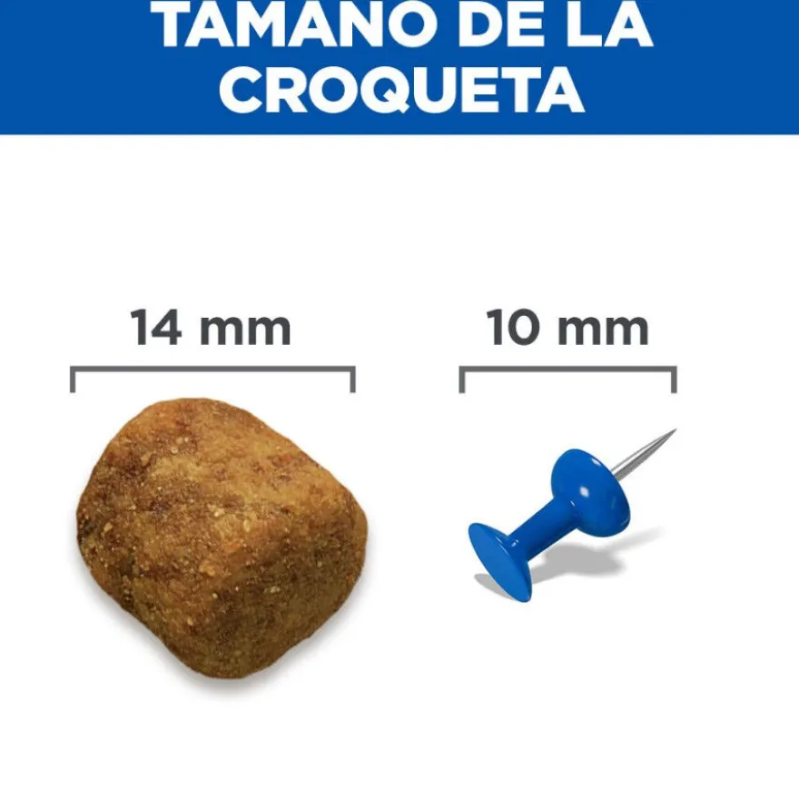 Hill's Science Plan Adult Large Breed Ração de cordeiro e arroz para cães de raças grandes