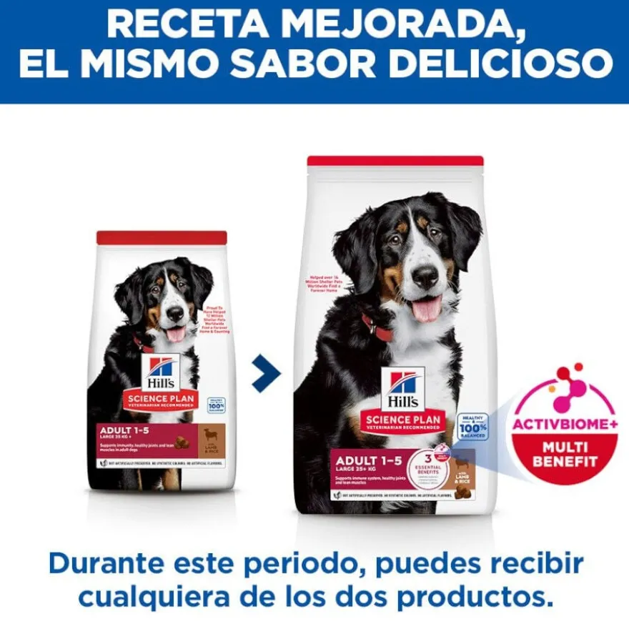 Hill's Science Plan Adult Large Breed Ração de cordeiro e arroz para cães de raças grandes