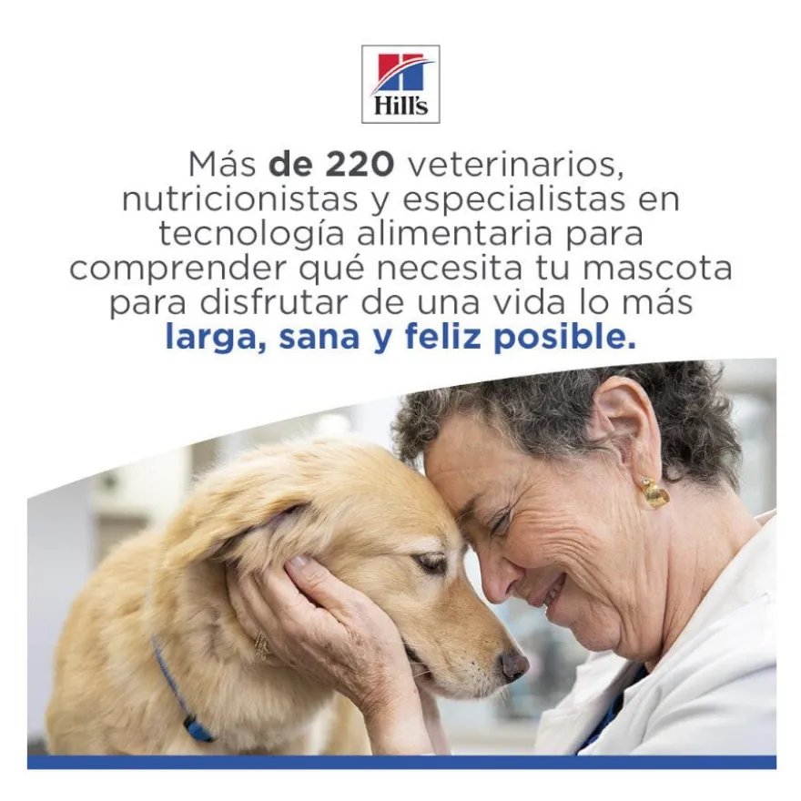 Hill's Science Plan Hipoalergénico Large Salmão ração para cães