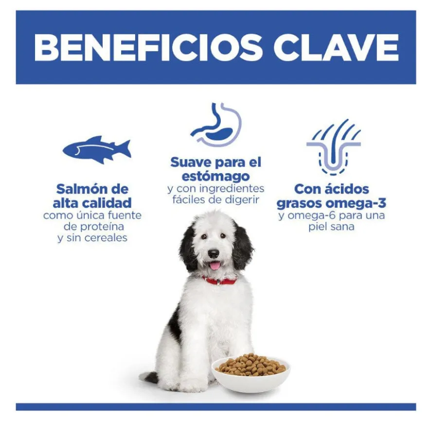 Hill's Science Plan Hipoalergénico Large Salmão ração para cães