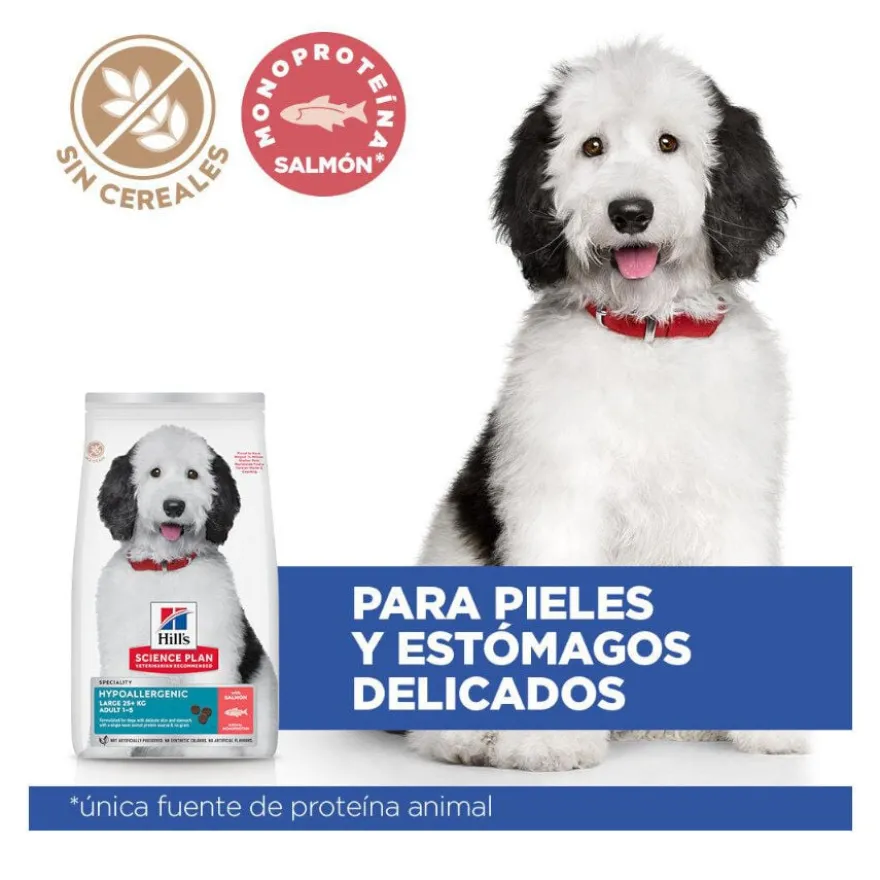 Hill's Science Plan Hipoalergénico Large Salmão ração para cães