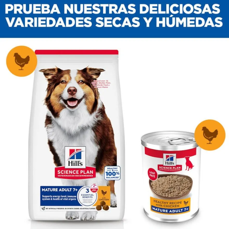 Hill's Science Plan Mature 7+ Adult frango em lata para cães