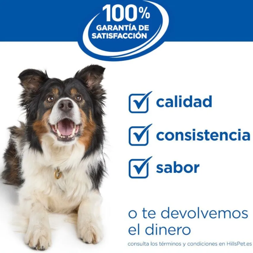 Hill's Science Plan Mature Adult Medium Ração de frango para cães de raças médias