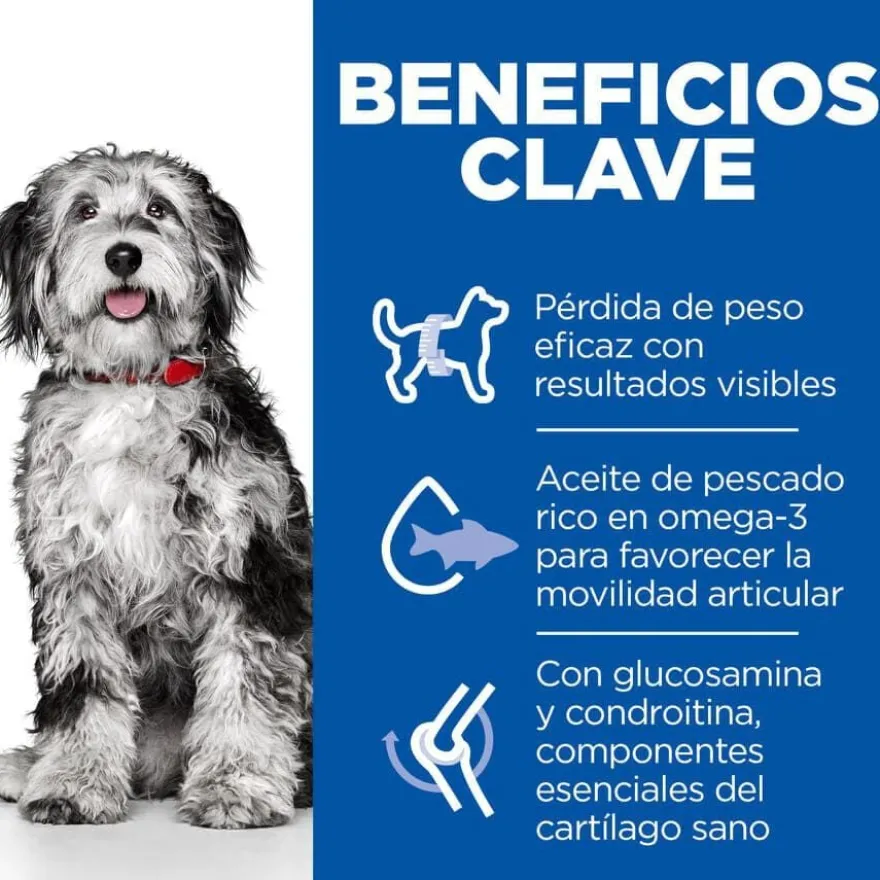Hill's Science Plan Perfect Weight y Active Mobility Medium Frango ração para cães