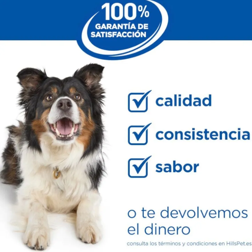 Hill's Science Plan Perfect Weight Adult Large Frango ração para cães
