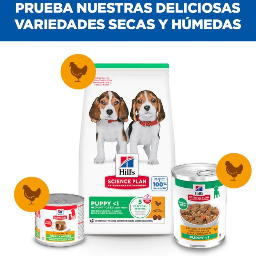 Hill's Science Plan Puppy Comida húmida para cachorro