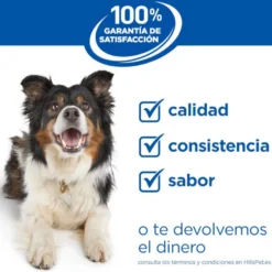 Hill's Science Plan Puppy Medium Ração de cordeiro e arroz para cães