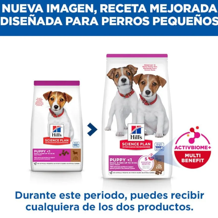 Hill's Science Plan Ração de cordeiro e arroz para cachorros de raças pequenas e mini