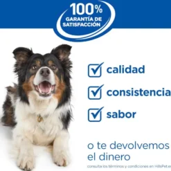 Hill's Science Plan Senior Small & Mini Ração para cães séniores de raças pequenas e mini