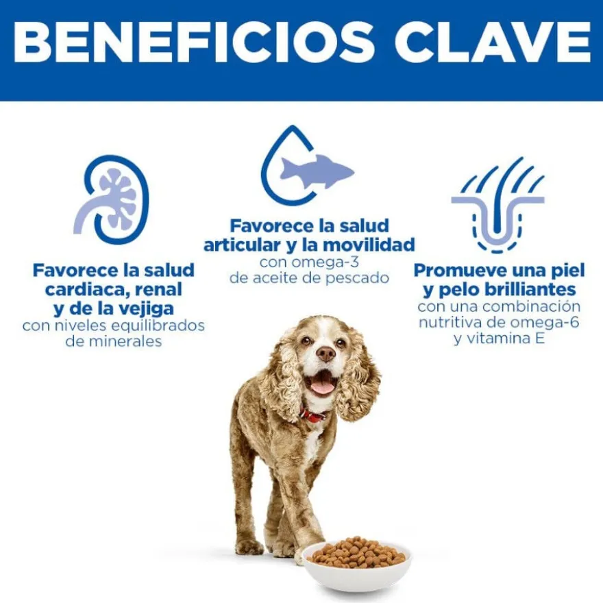 Hill's Science Plan Senior Small & Mini Ração para cães séniores de raças pequenas e mini