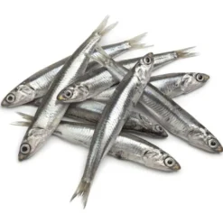Hobbitalf Anchovas para cães