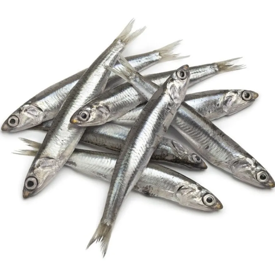 Hobbitalf Anchovas para cães