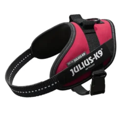 Julius K-9 IDC Peitoral Magenta para cães