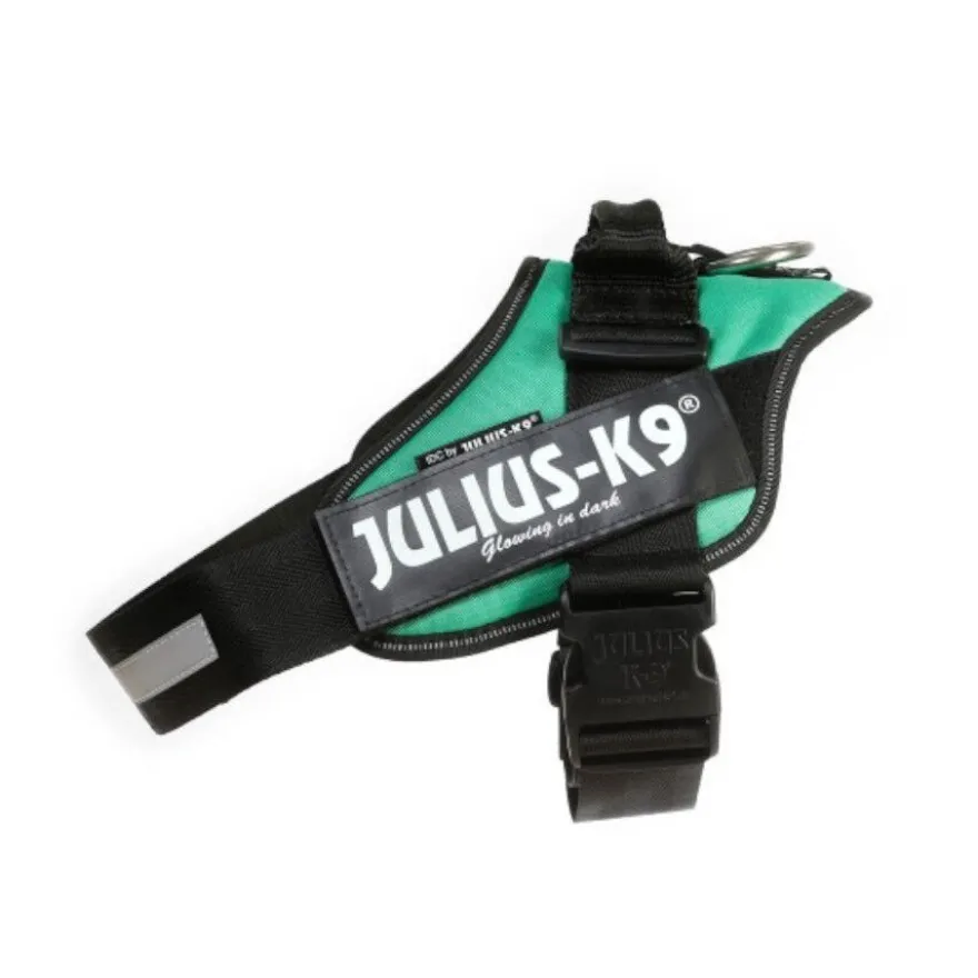 Julius K9 Peitoral Verde para cães