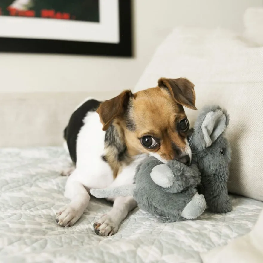 Kong Comfort Kiddos Elefante