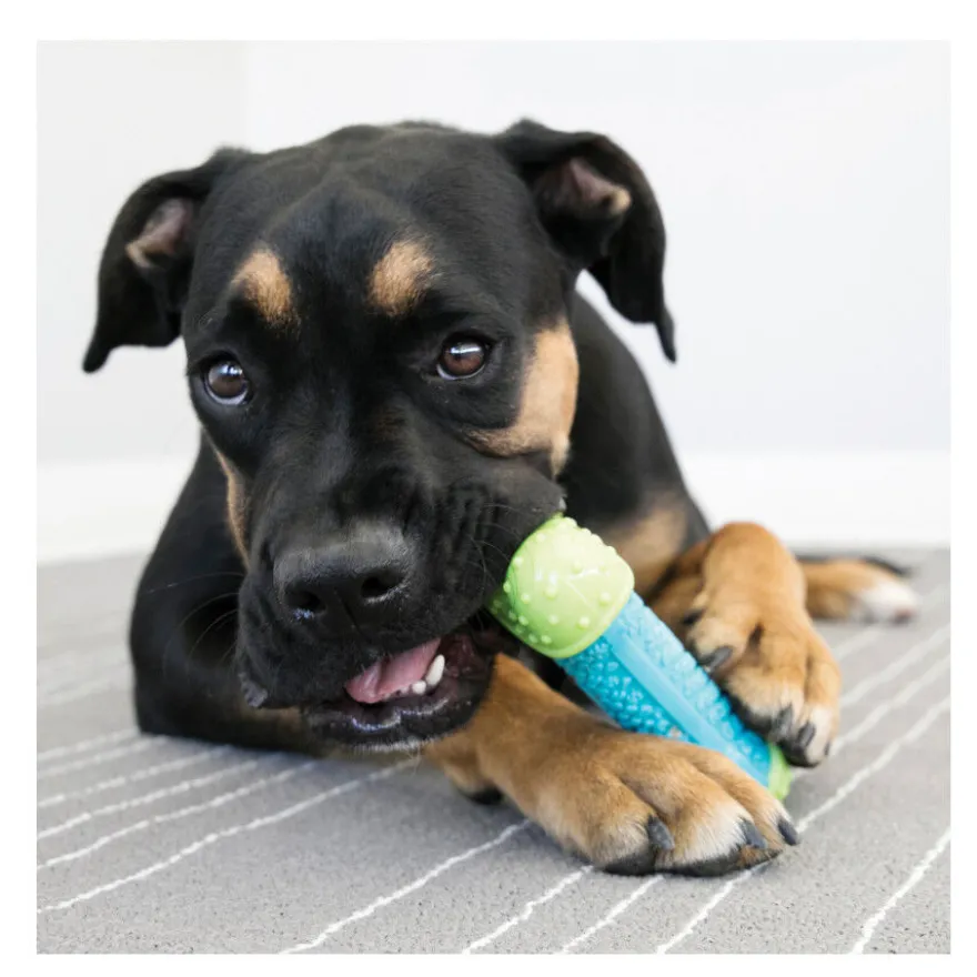 Kong Corestrength Osso para cães