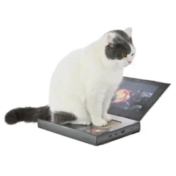Leeby Lily arranhador de cartão em forma de portátil para gatos