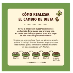 Lily's Kitchen Adult Cordeiro ração para cães