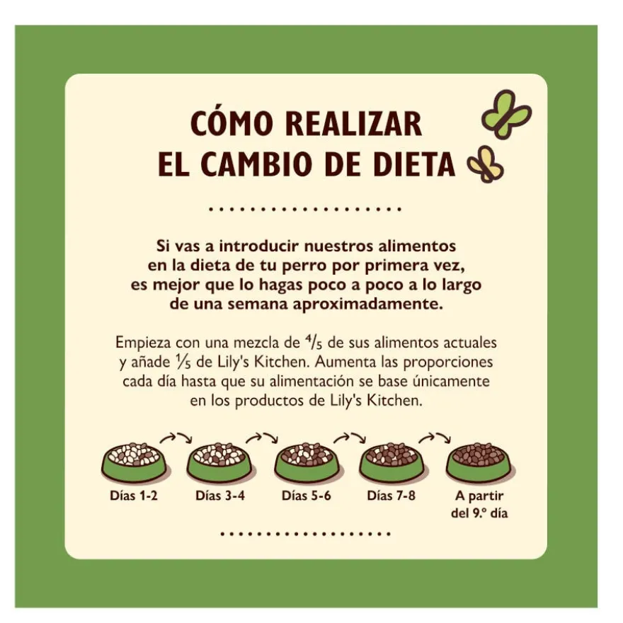 Lily's Kitchen Adult Cordeiro ração para cães