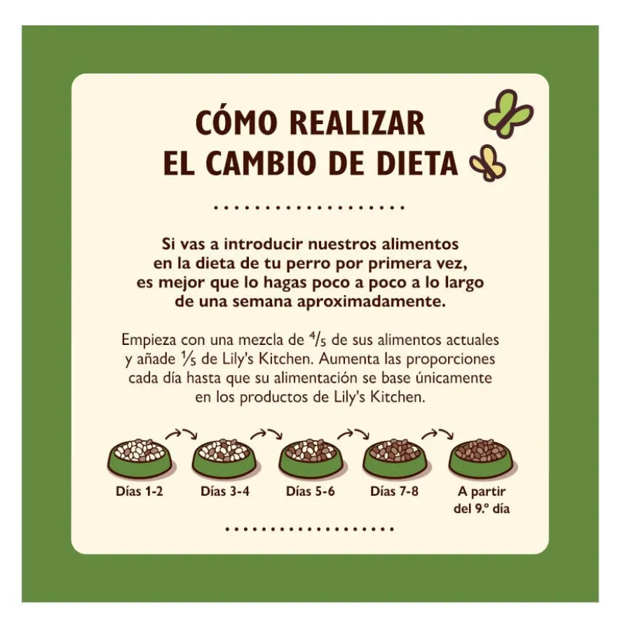 Lily's Kitchen frango e morangos lata para cães