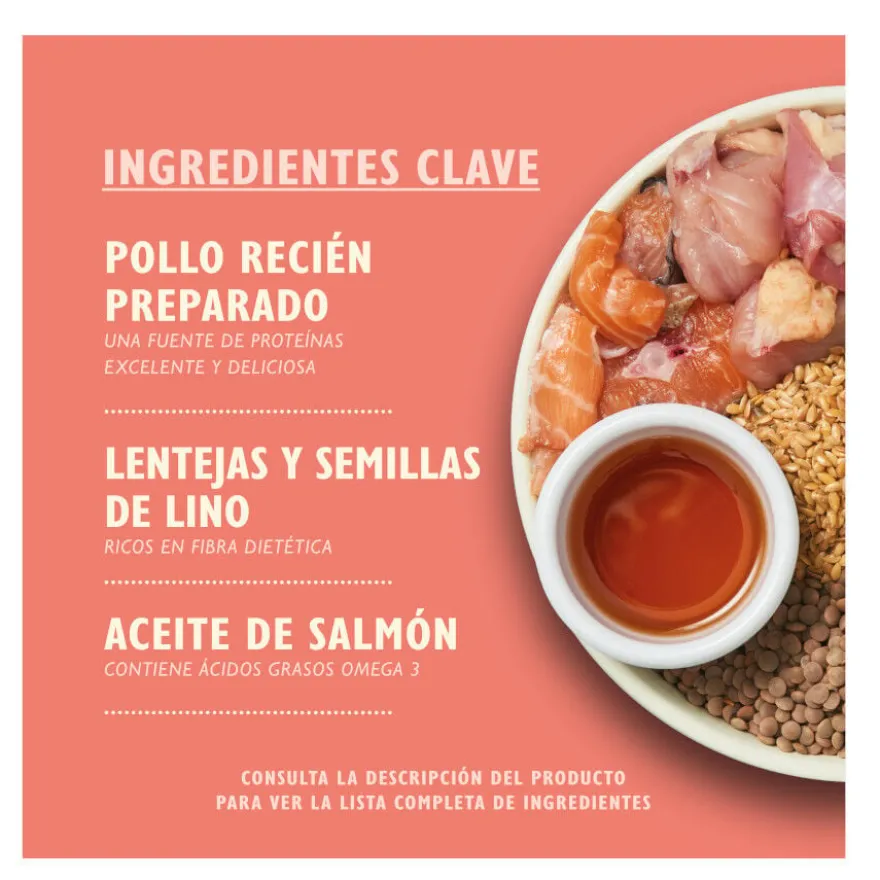 Lily's Kitchen Puppy Frango e Salmão ração para cães