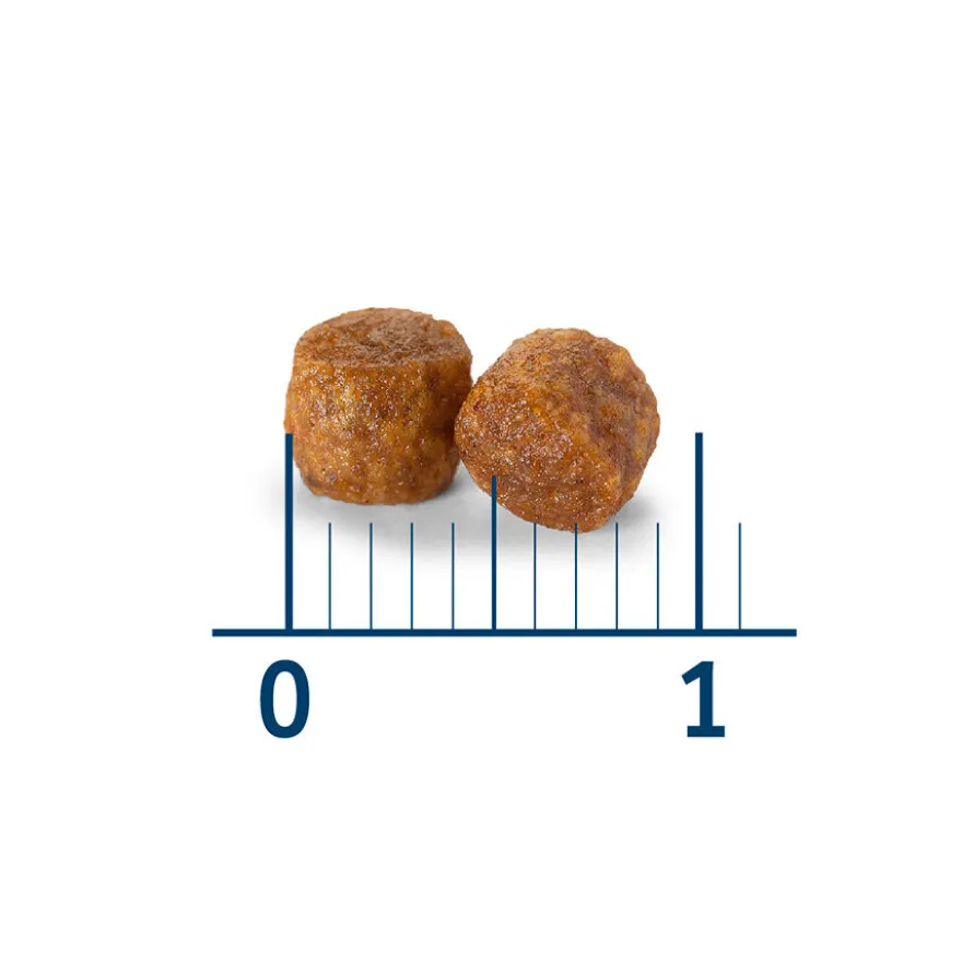 Nath Adult Frango e Arroz ração para gatos
