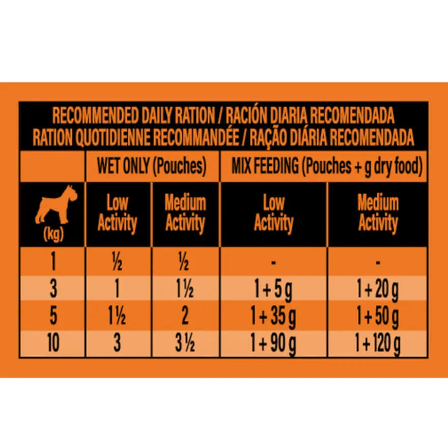Nature's Variety Adult Mini Patê saqueta para cães