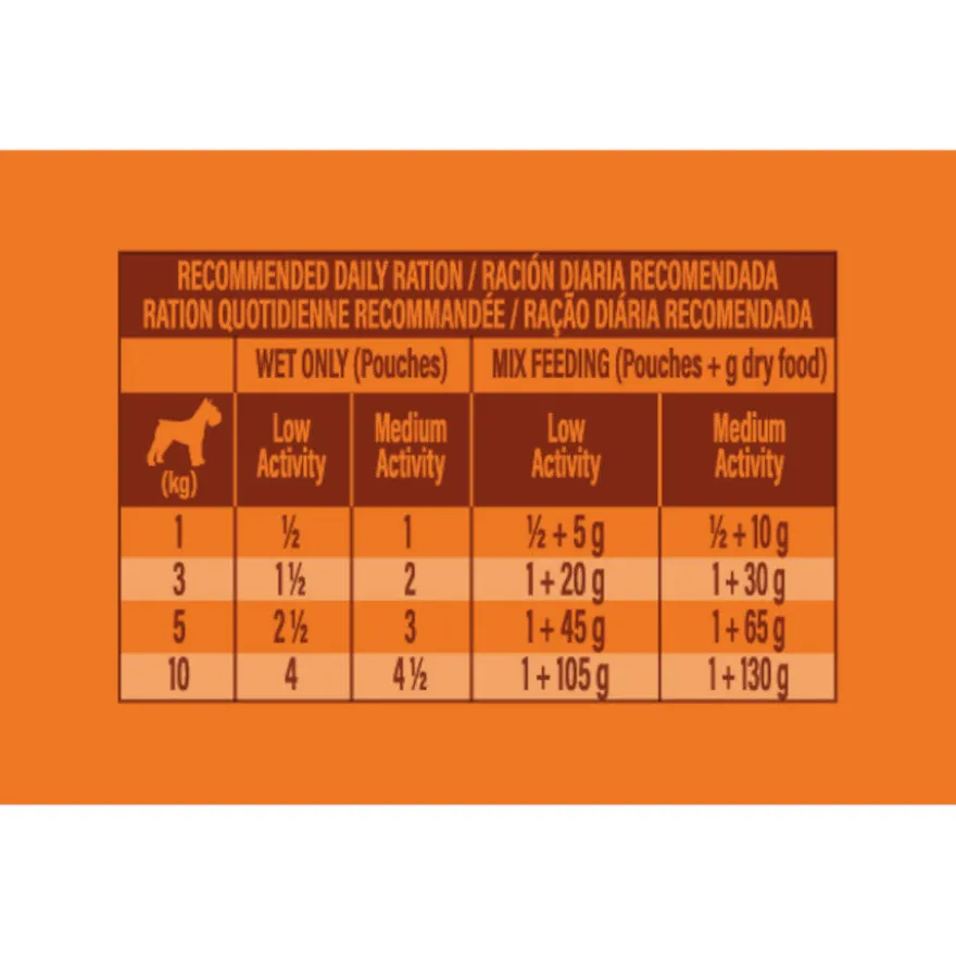 Nature's Variety Original Mini Adult frango saqueta para cães