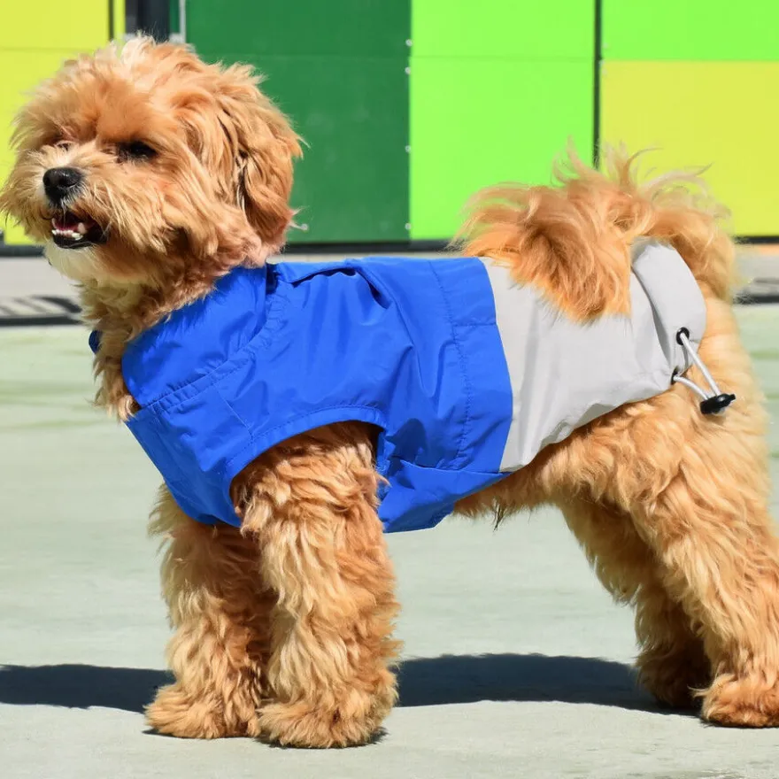 Nayeco X-TRM Capa de Chuva Azul e Cinzenta para cães