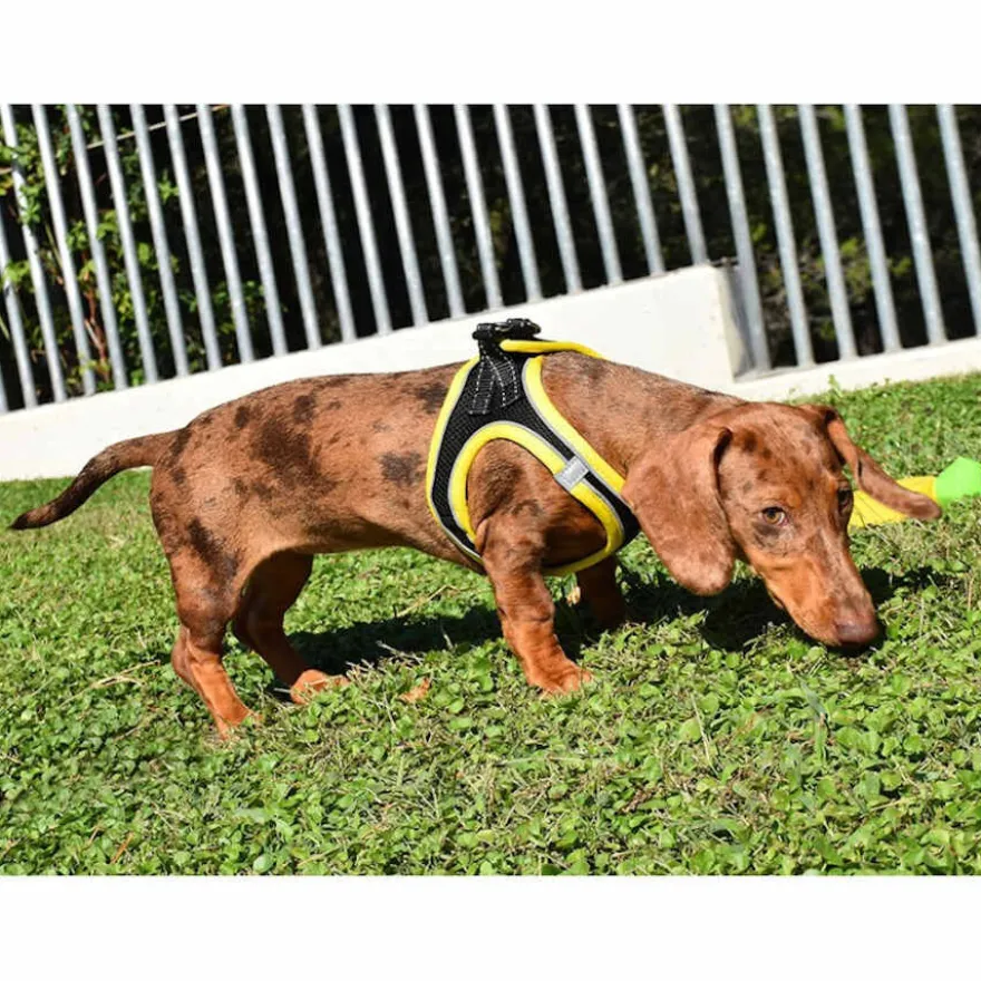 Nayeco X-TRM Neo Preto Peitoral para cães