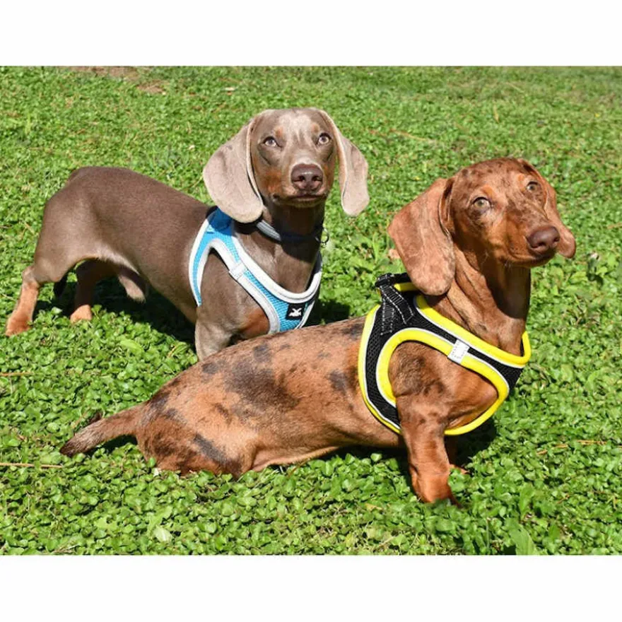 Nayeco X-TRM Neo Preto Peitoral para cães