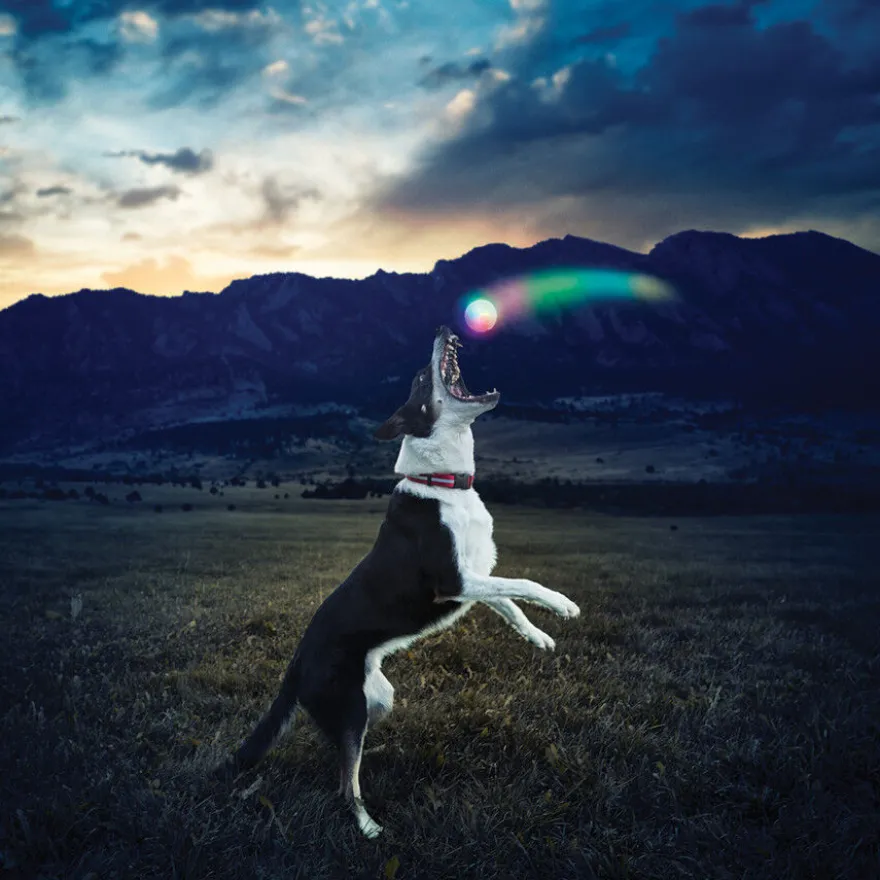 Nite Ize Glowstreak Disc-O LED Peluche para cães