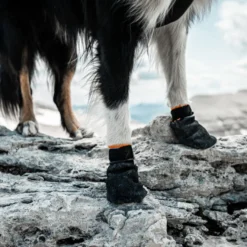 Non-stop dogwear Bota protetora preta e laranja para cães