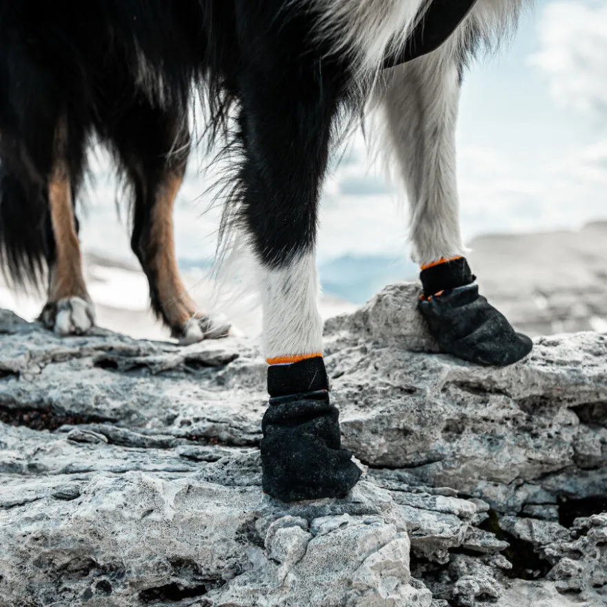 Non-stop dogwear Bota protetora preta e laranja para cães