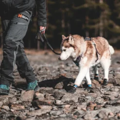 Non-stop dogwear Bota protetora preta e laranja para cães