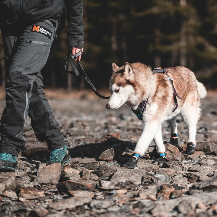 Non-stop dogwear Bota protetora preta e laranja para cães