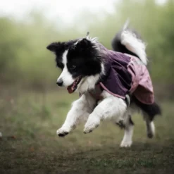Non-stop Dogwear Capa de Chuva Impermeável Malva para cães