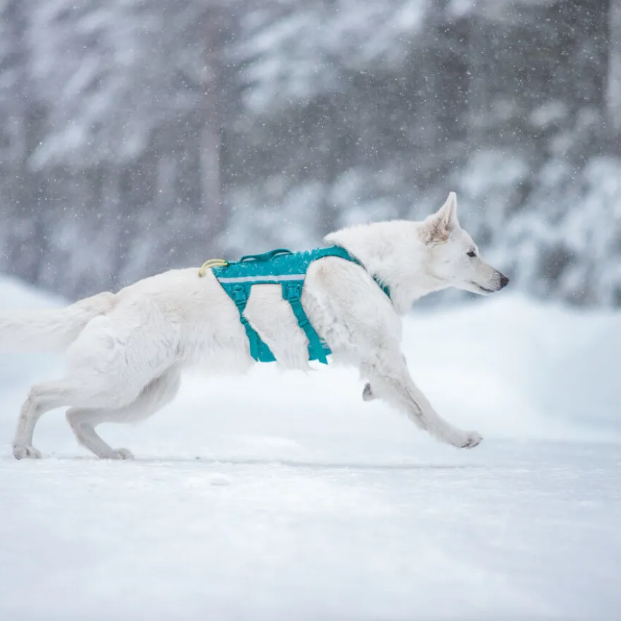 Non-stop Dogwear Peitoral Longo Azul e Verde para cães