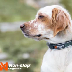 Non-stop dogwear Roam Coleira verde para cães
