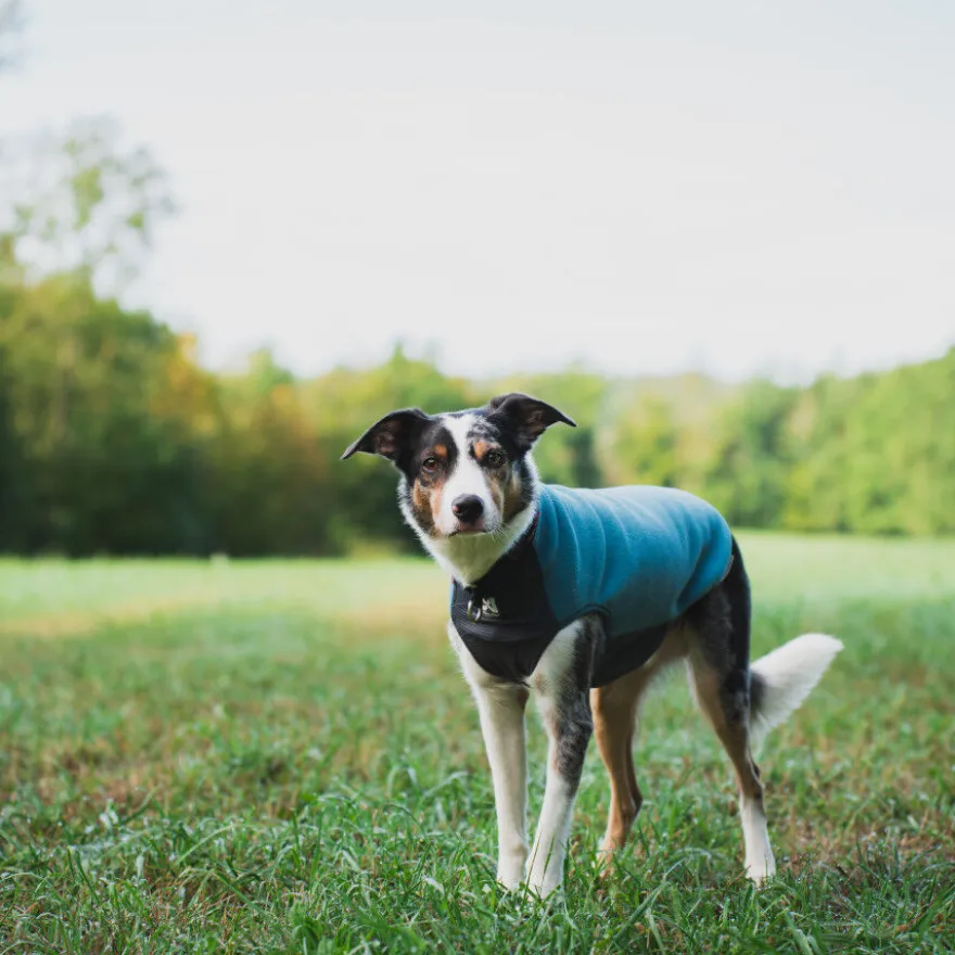 Non-stop Dogwear Trail Quest Camisola Polar Azul e Cinzento para cães
