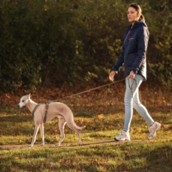 Non-stop Dogwear Trela Turquesa e Carvalho para cães