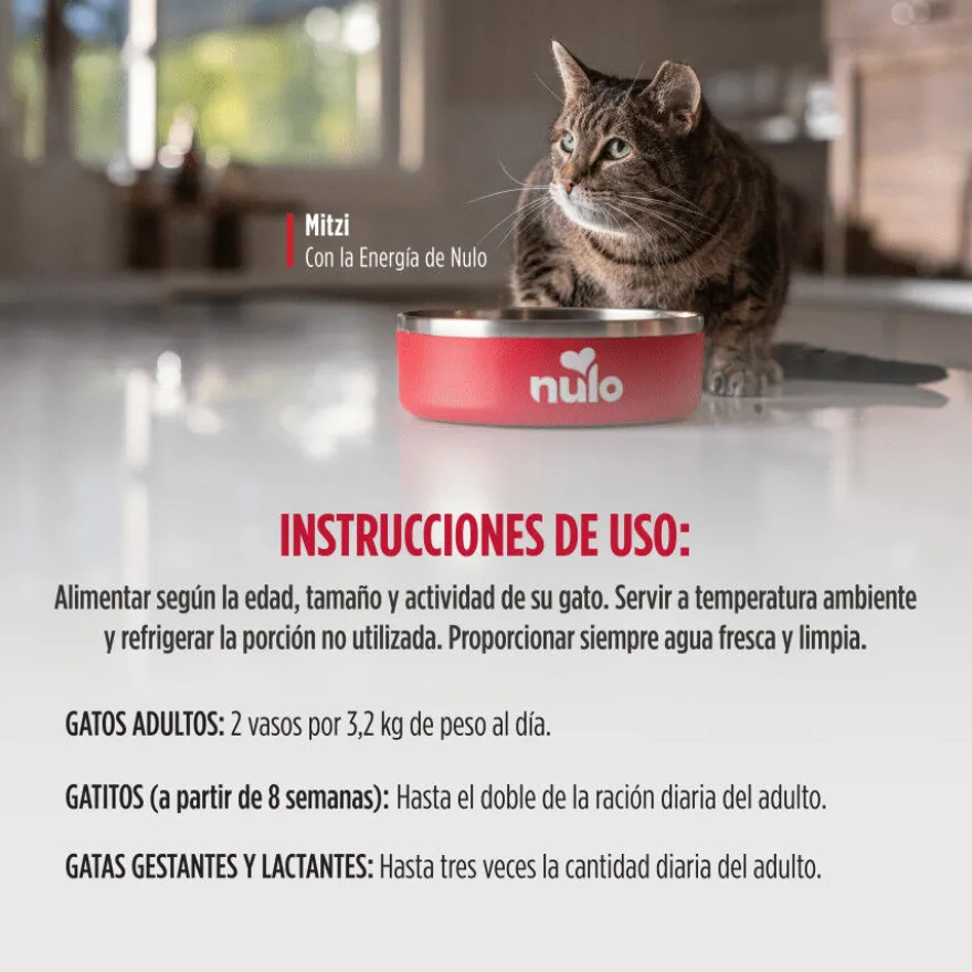 Nulo Comida húmida Estufado de Cavala com Gambas e Mexilhões em terrina para gatos