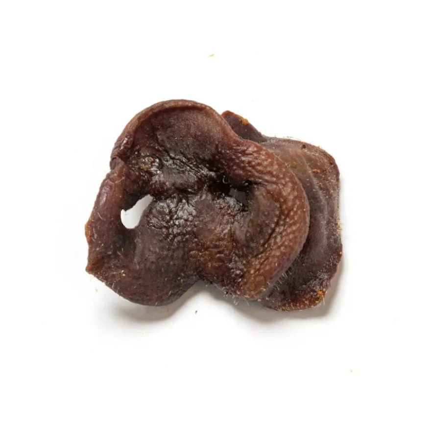 Nutriment Barrita Snack de focinho de porco para cães