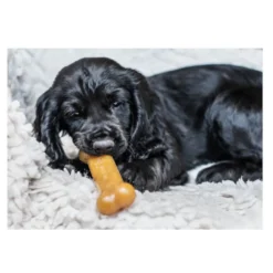Nylabone Chew Frango Osso Mordedor para cachorros