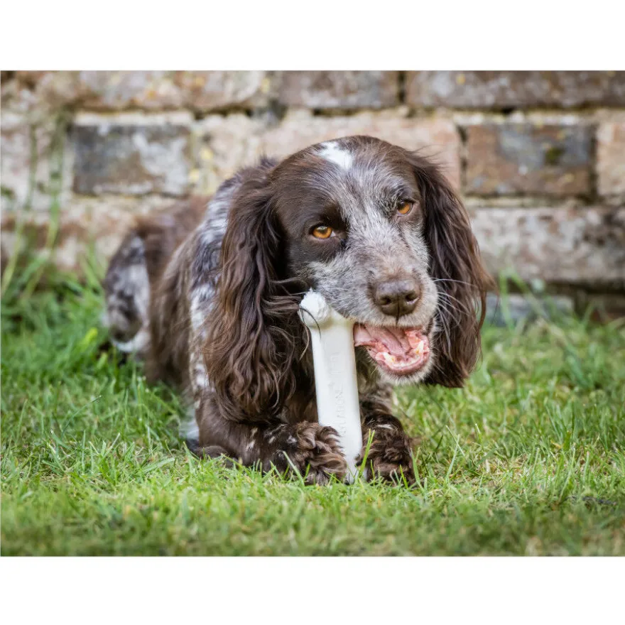 Nylabone Dura Chew Wolf osso mordedor de nylon para cães