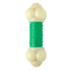 Nylabone Extreme Chew Bacon Double Action Mordedor para cães