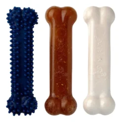 Nylabone Kit de Iniciação Mordedor Triple para cachorros