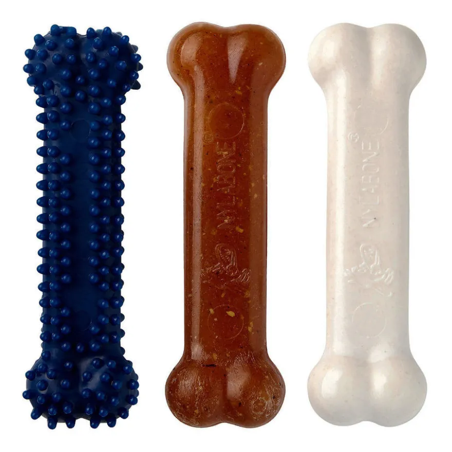 Nylabone Kit de Iniciação Mordedor Triple para cachorros
